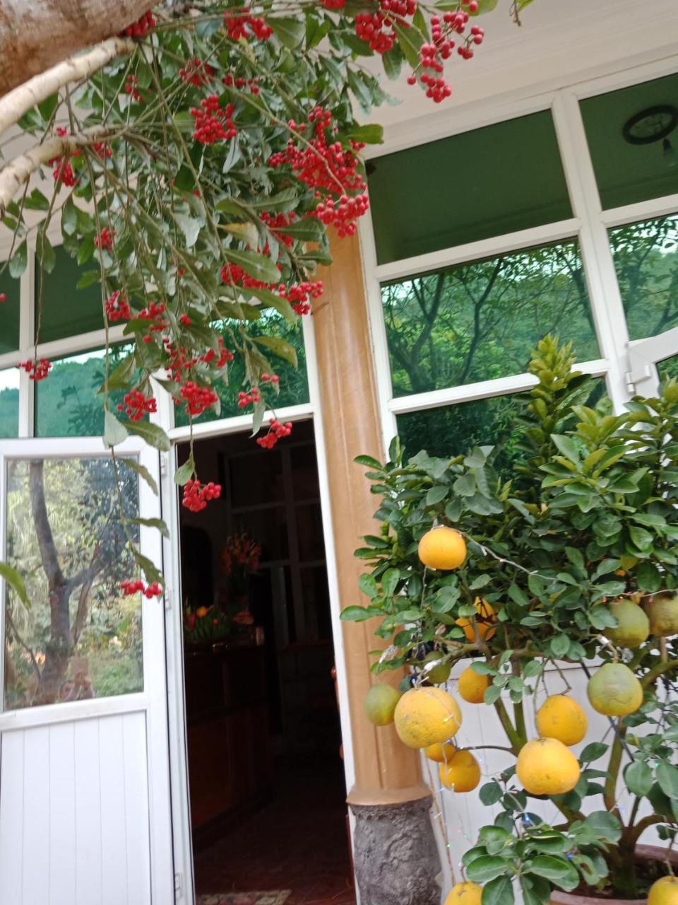 Cuc Phuong Hao Tham Homestay Hotel Nho Quan エクステリア 写真